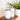 (Pack of 30) 9oz or 12oz White Sippy Sublimation Blank Tumbler | Sayers & Co.