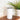 (Pack of 20) 9oz or 12oz White Sippy Sublimation Blank Tumbler | Sayers & Co.