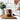 Copy of 16oz Valentine's Day Spicy Glass Cup with Bamboo Lid & Straw #100080 | Sayers & Co.