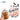 PRINTED Sublimation Transfer or Vinyl Print: Howdy Pumpkin 16oz Print