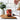 Copy of 16oz Christmas Gingerbread Glass Cup with Bamboo Lid & Straw #100074 | Sayers & Co.